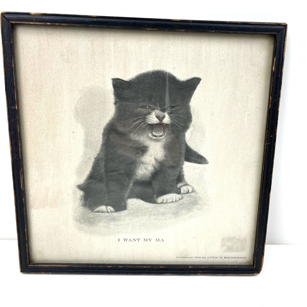 Annie Hochholzer I Want My Ma Kitten Wall Art